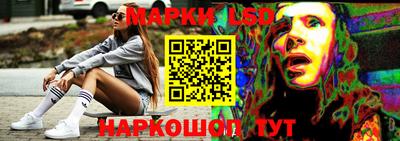 крисы Новодвинск
