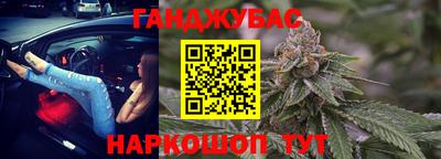 крисы Новодвинск
